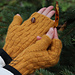 Autumn Time Fingerless Mittens pattern 
