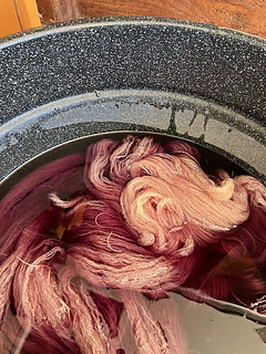 Purpleleaf plum dyepot