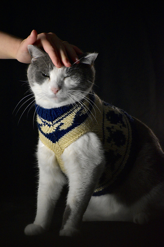 Fishing for Compliments Cat Sweater