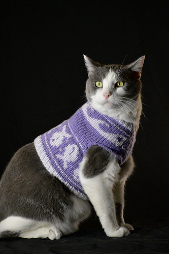 Fishing for Compliments Cat Sweater