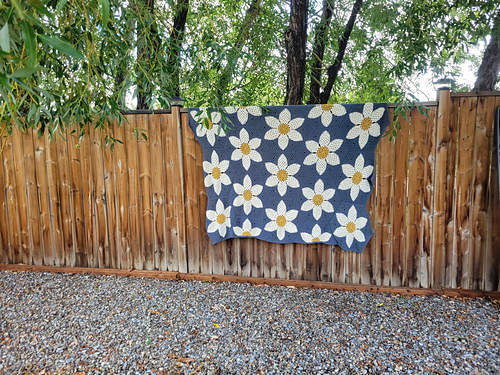 Lazy Daisy Blanket