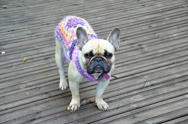 granny square dog sweater