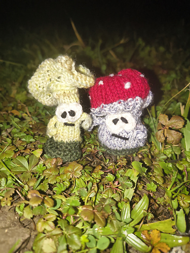 Mushroom or Fairy House? photo 10
