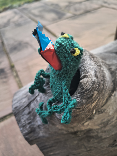 Froggie bag photo 10