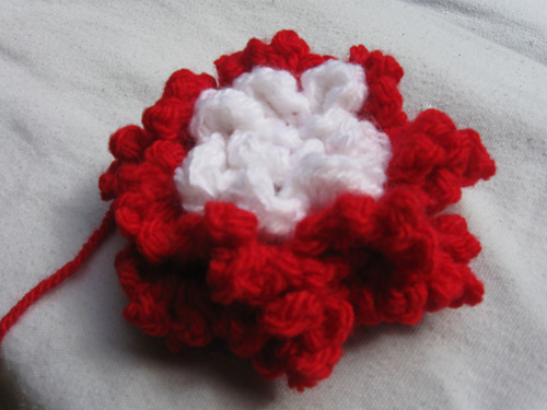 Chrysanthemum Flower photo 5