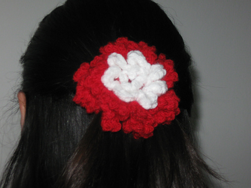 Chrysanthemum Flower photo 6