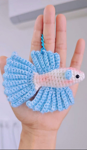 Betta Fish