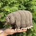 Tardigrade pattern 
