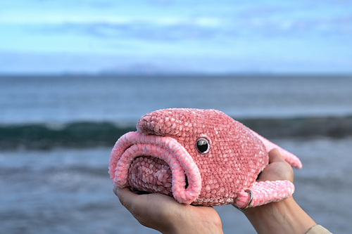 Blobfish bag and toy