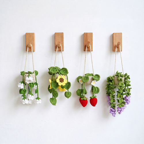 4in1 Flower Car Hanging Plants