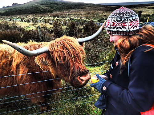 Ravelry: Da Quaarl Hat pattern by Alison Rendall
