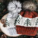 Evergreen Beanie pattern 