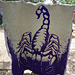 Scorpio Zodiac pattern