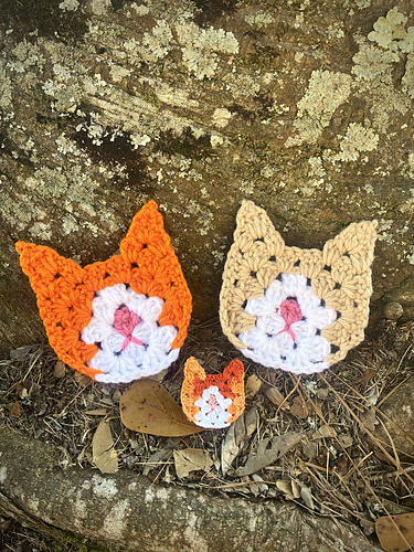 Granny Cat photo 8