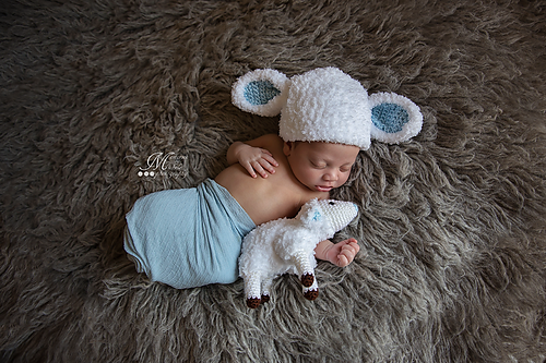 Newborn Lamb Hat with Plush Toy photo 1