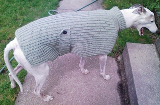 greyhound jumper knitting pattern
