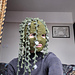 Hanging Vines Balaclava pattern 