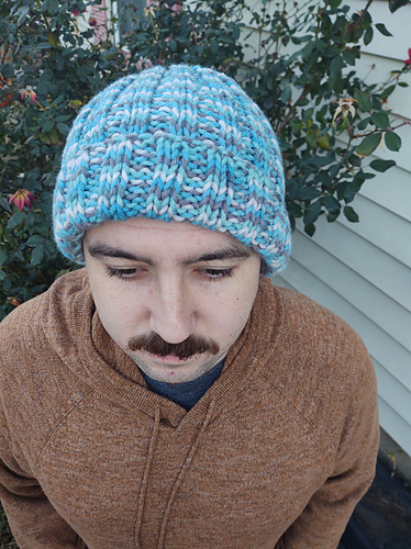 Beavertail Skully photo 1