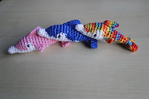 Dolfijn / Dolphin photo 6