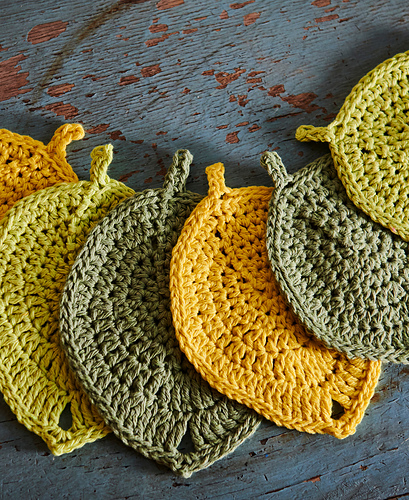 Leaf Coaster 다른 모습 4