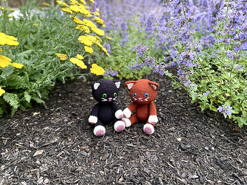 Kelly the Kitten - Abigail McClain Gomez