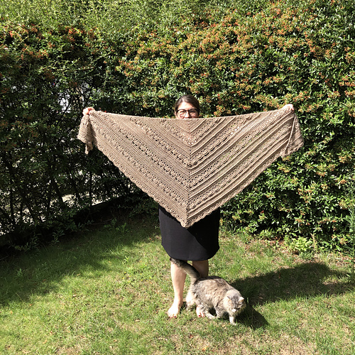 Ana Lucia Shawl photo 6
