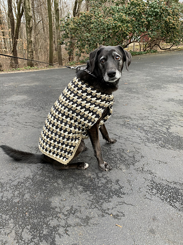 Well Dressed Dog Coat photo 4