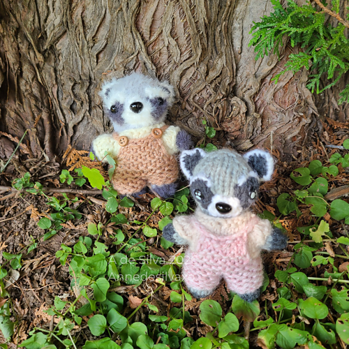 Remy the Raccoon