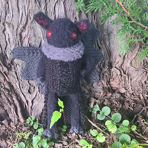 Folklore Collection: Richard the Mothman