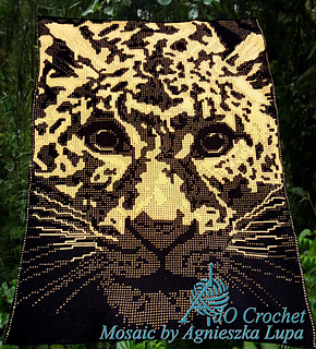 Leopard up and Close pattern