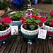 Planting Seeds Flower Pot Cozy photo 4