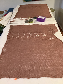 11/20 blocking front and back