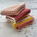 Fresh Spring Washcloths pattern