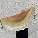 Breaking Dawn Shawl pattern 