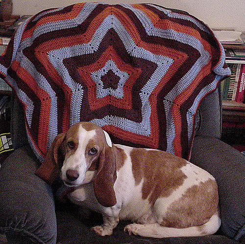 Baby Starghan (Star Afghan) photo 3