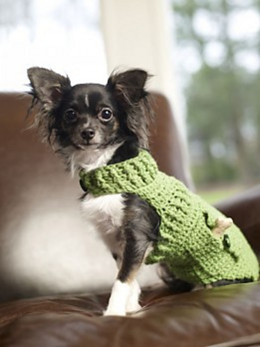 Dapper Doggie Sweater photo 1