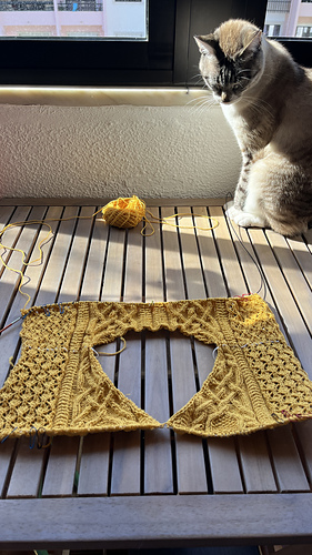 Abril inspecting my progress.