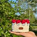 Tulip Basket pattern 