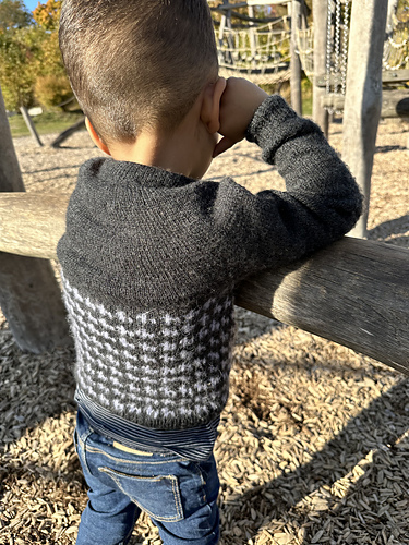 Pawsome pup pullover photo 5