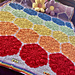 Chasing Rainbows Finding Tulips Blanket pattern 