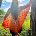 Dragonfly Freefall Shawl pattern 