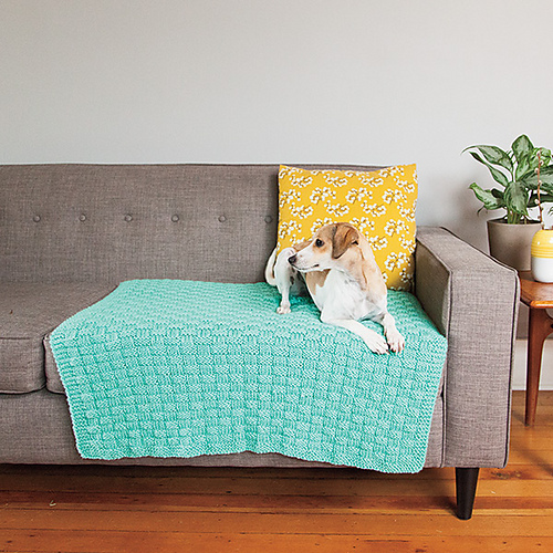 Ravelry Comfort Knit Pet Blanket pattern by Stacey Winklepleck