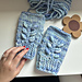 Wild Grown Fingerless Mitts pattern 