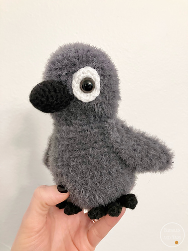 Fluffy Baby Crow