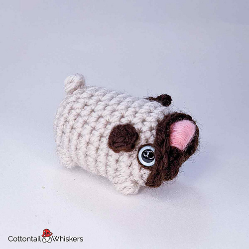 Mini Pug Hund - Bea King