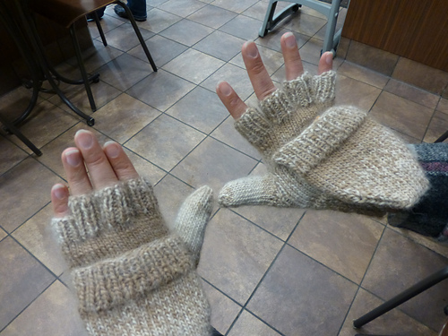 Salamander Mitts photo 3