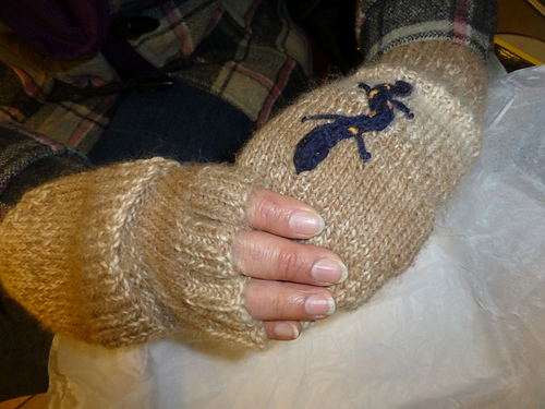 Salamander Mitts photo 2