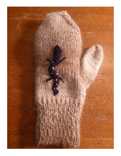 Salamander Mitts photo 1