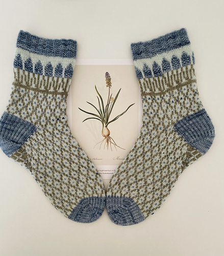 Muscari Socks/ Chart