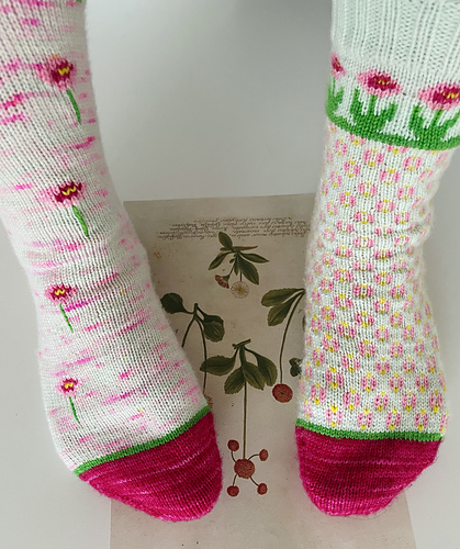 Bellis Socks photo 2